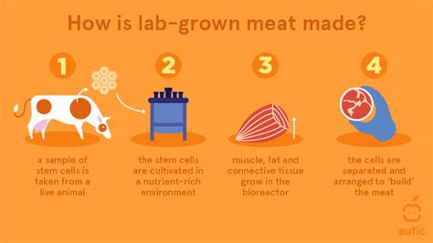 Meat grown from animal cells? Here’s what it is and how it’s made